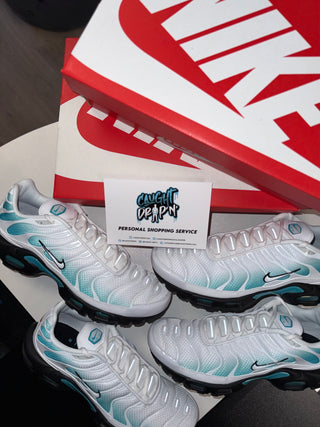 Nike Air Max Plus TN White | Dusty Cactus 2026