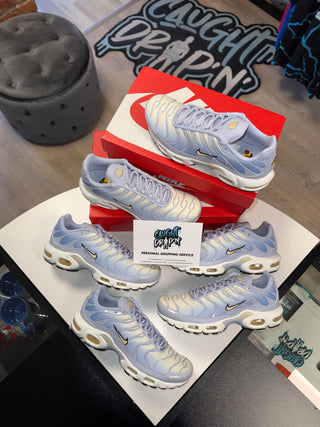Nike Air Max Plus TN Aluminium | Pale Vanilla 2025