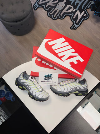 Nike Air Max Plus TN Grey Fog | Light Lime 2026