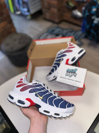 Nike Air Max Plus TN Paris PSG